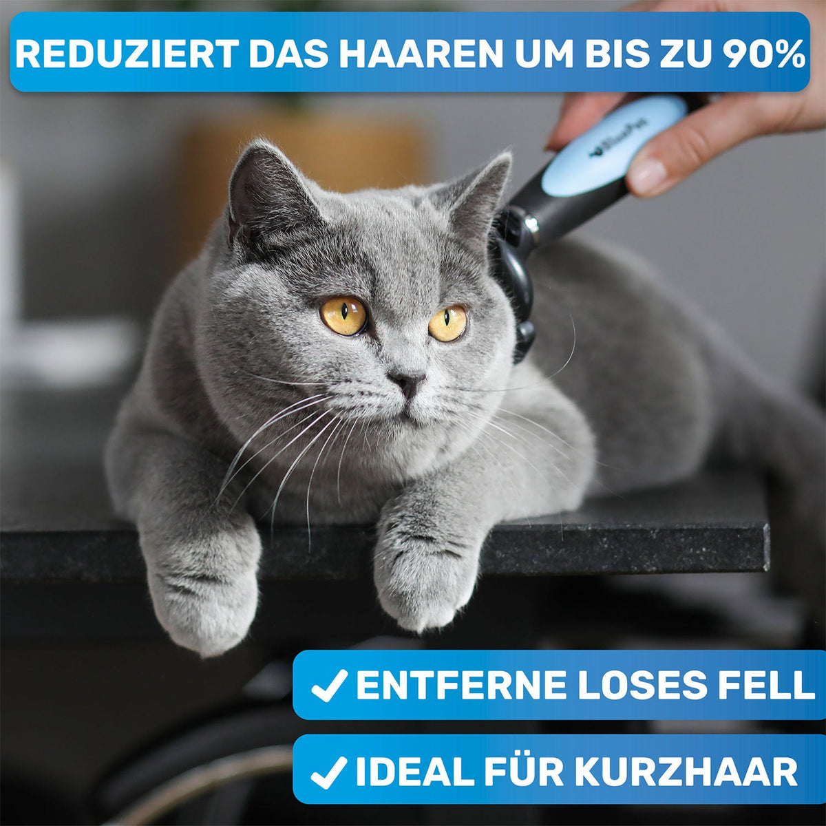 UnterwollGlück 2.0 – Kurzhaar-Unterwollbürste mit Selbstreinigung