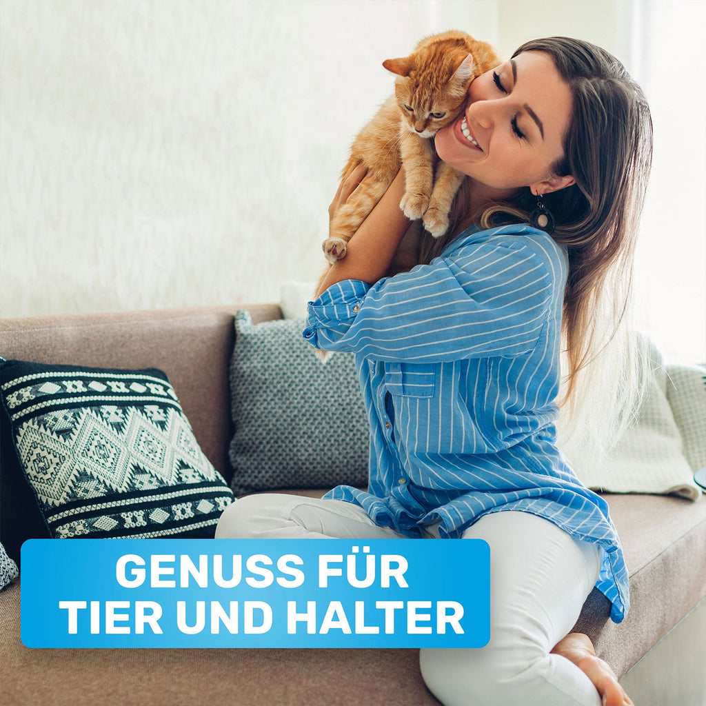 Zauberkamm – Entfilzungskamm mit rotierenden Zinken für Hunde