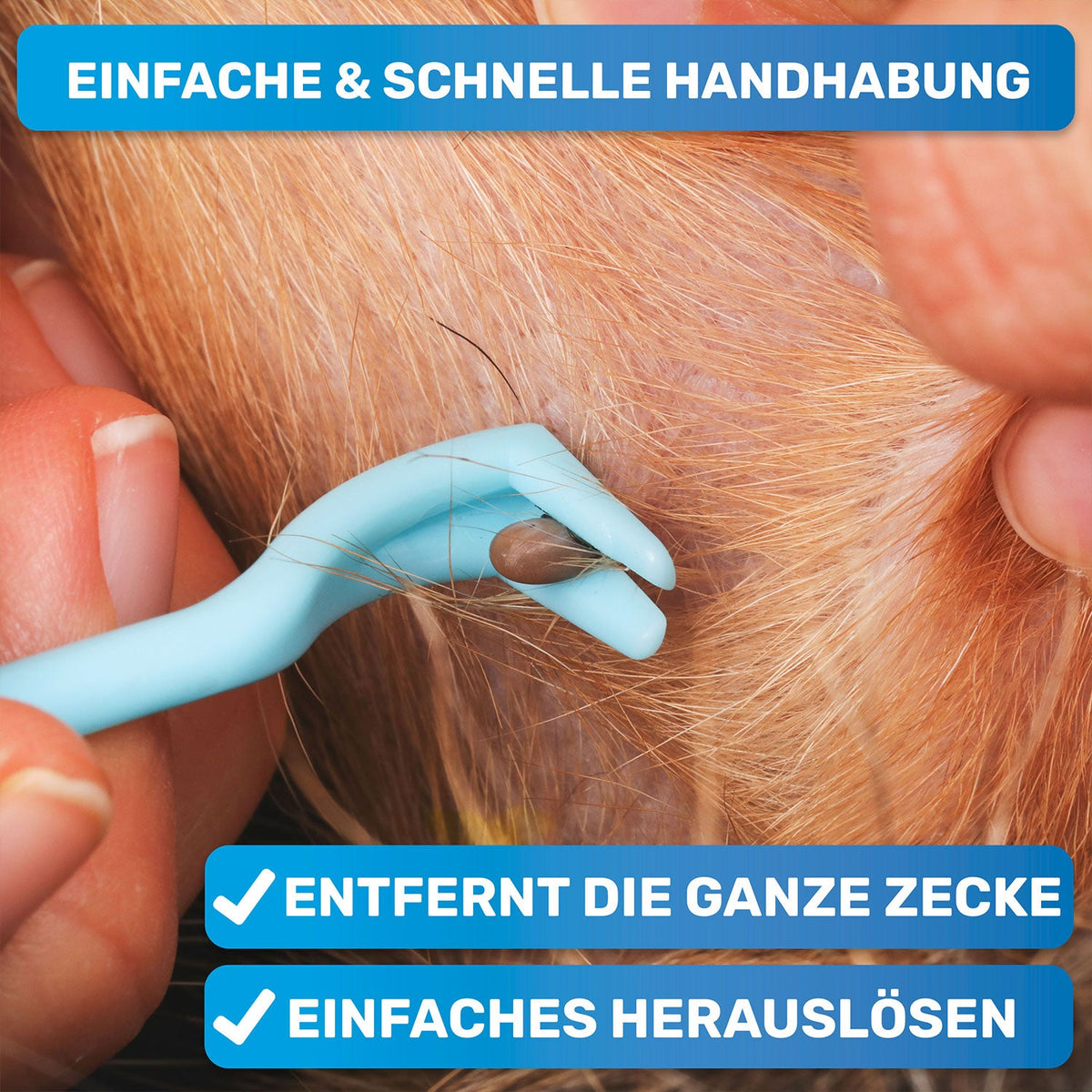 Zeckenhaken 3er-Set für Hunde – BluePet