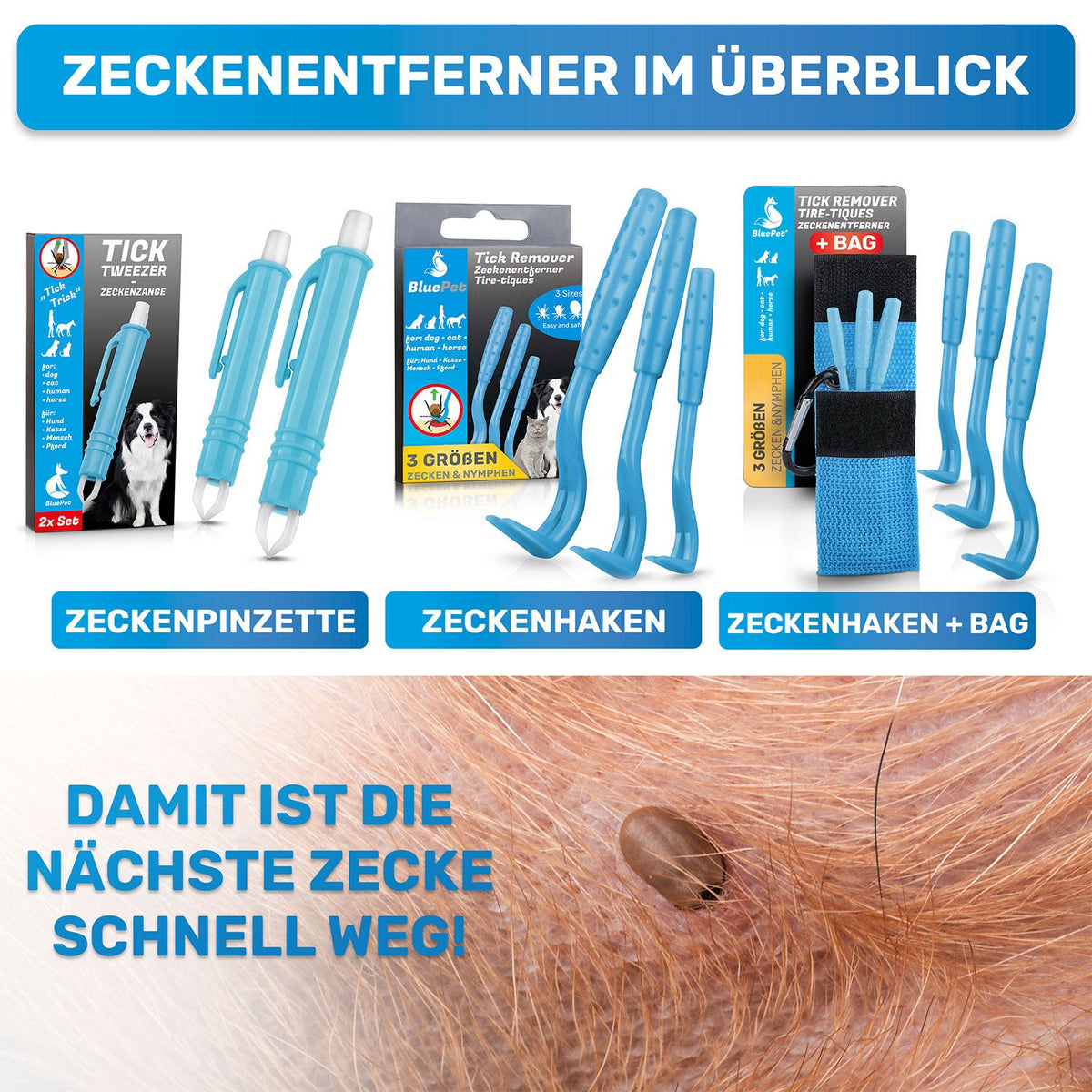 Zeckenhaken 3er-Set für Hunde – BluePet