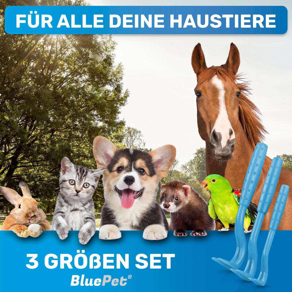Zeckenhaken 3er-Set für Hunde – BluePet
