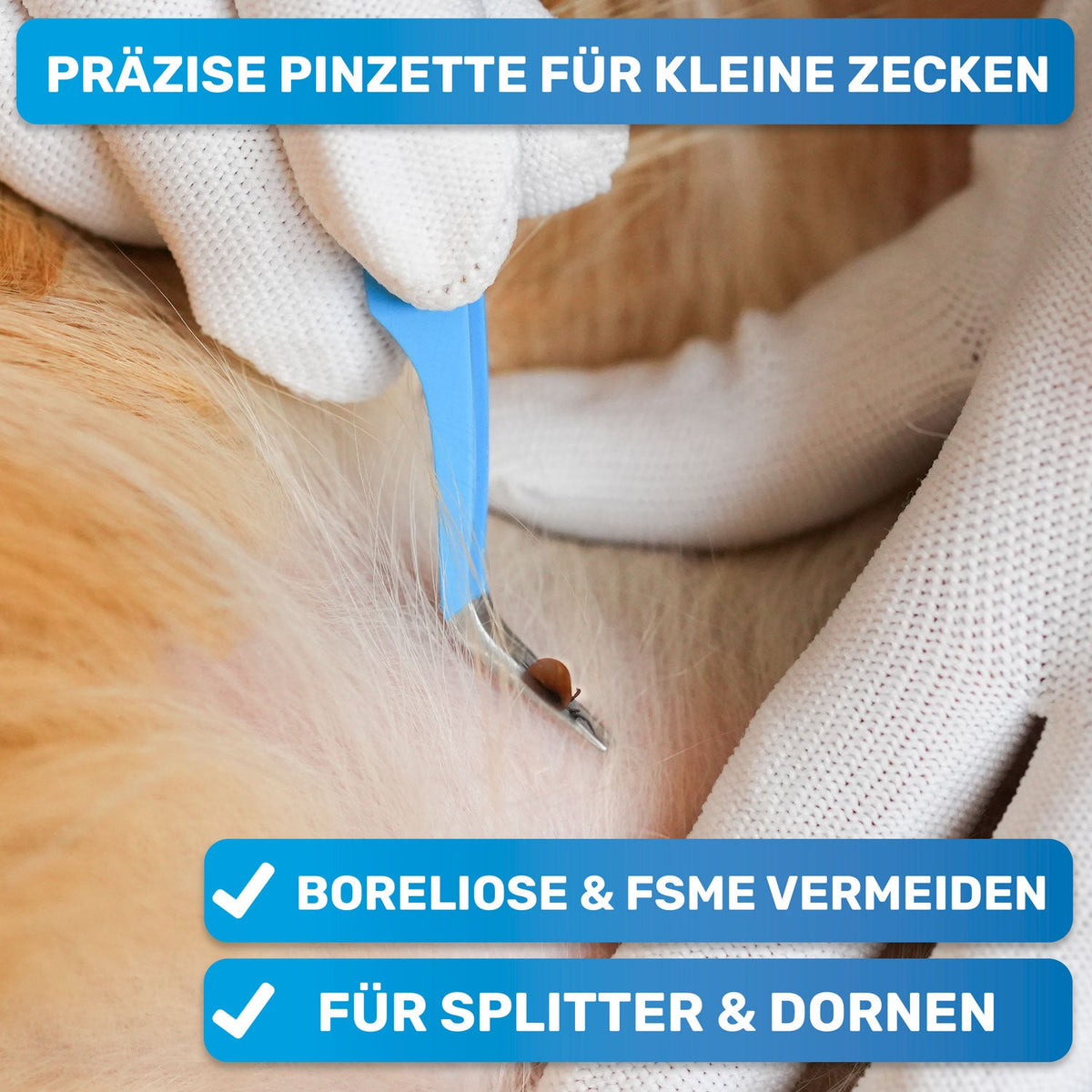 Zeckenentferner-Set für Hunde – 10-teilig mit Tasche