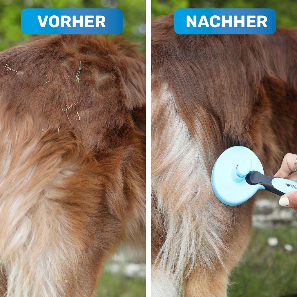 ZupfZeug – selbstreinigende Zupfbürste für Hunde