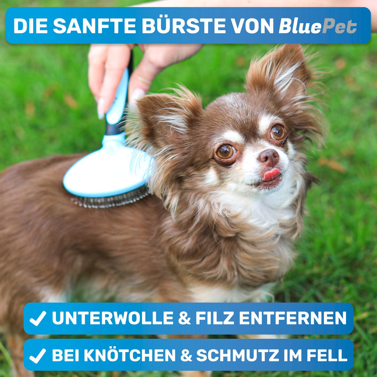 ZupfZeug Mini – Sanfte Zupfbürste für Welpen & Hunde