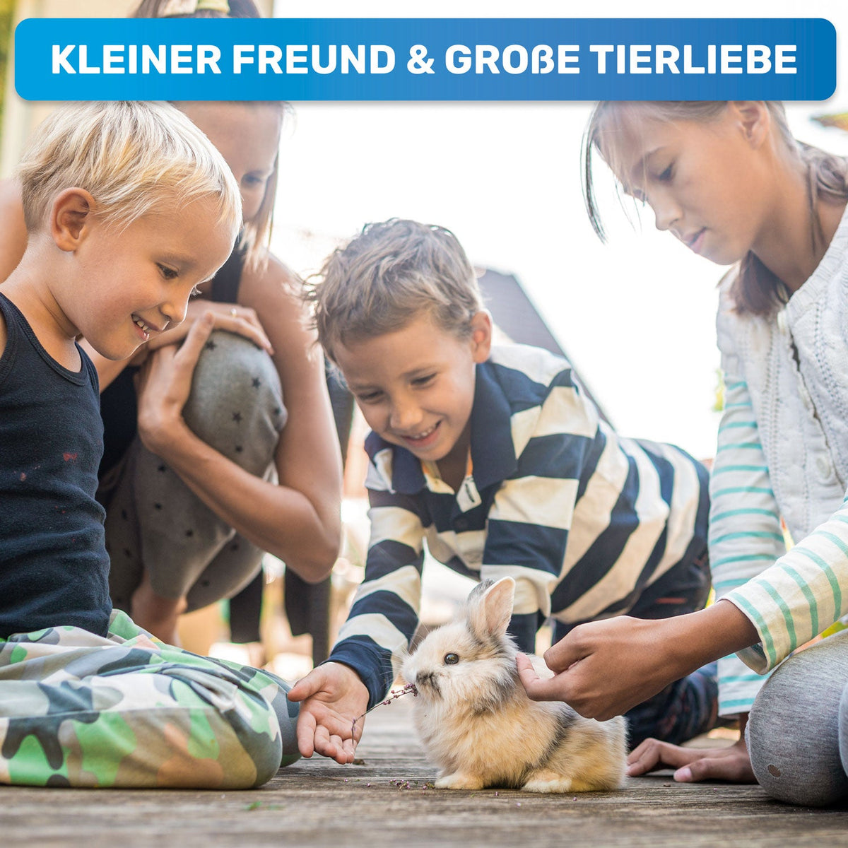 ZupfZeug Mini – Sanfte Zupfbürste für Welpen & Hunde