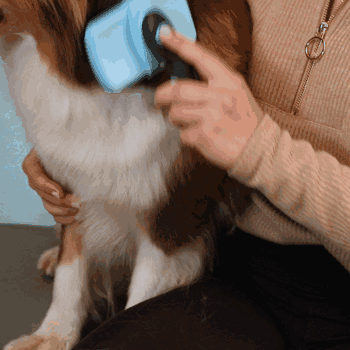 ZupfZeug 2.0 – Selbstreinigende Zupfbürste für Hunde