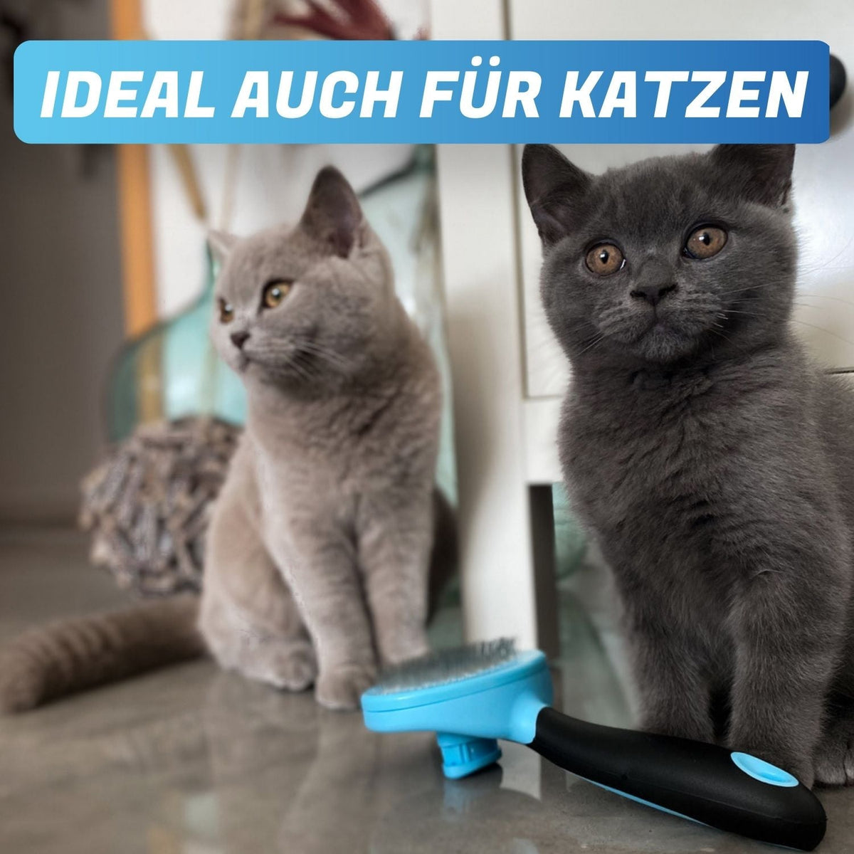 ZupfZeug – selbstreinigende Zupfbürste für Hunde