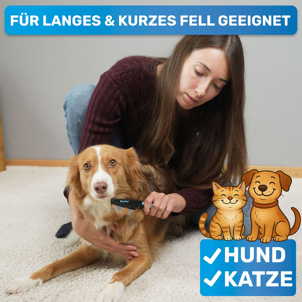 Flohkamm & Flohkarte im Set – für Hunde