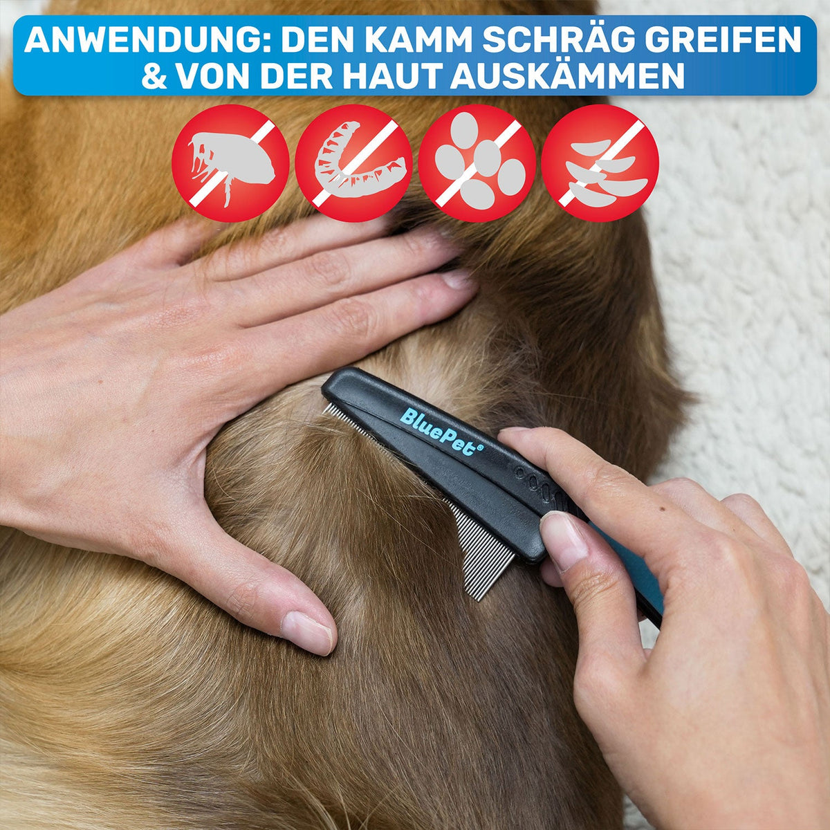 Flohkamm & Flohkarte im Set – für Hunde