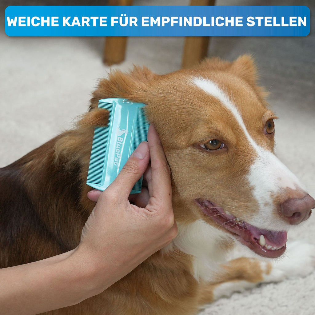 Flohkamm & Flohkarte im Set – für Hunde
