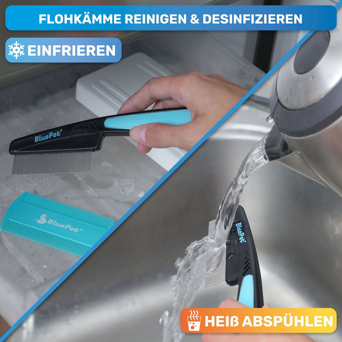 Flohkamm & Flohkarte im Set – für Hunde