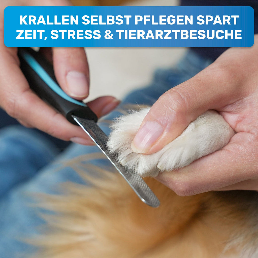 Robuste Krallenfeile für Hunde – BluePet