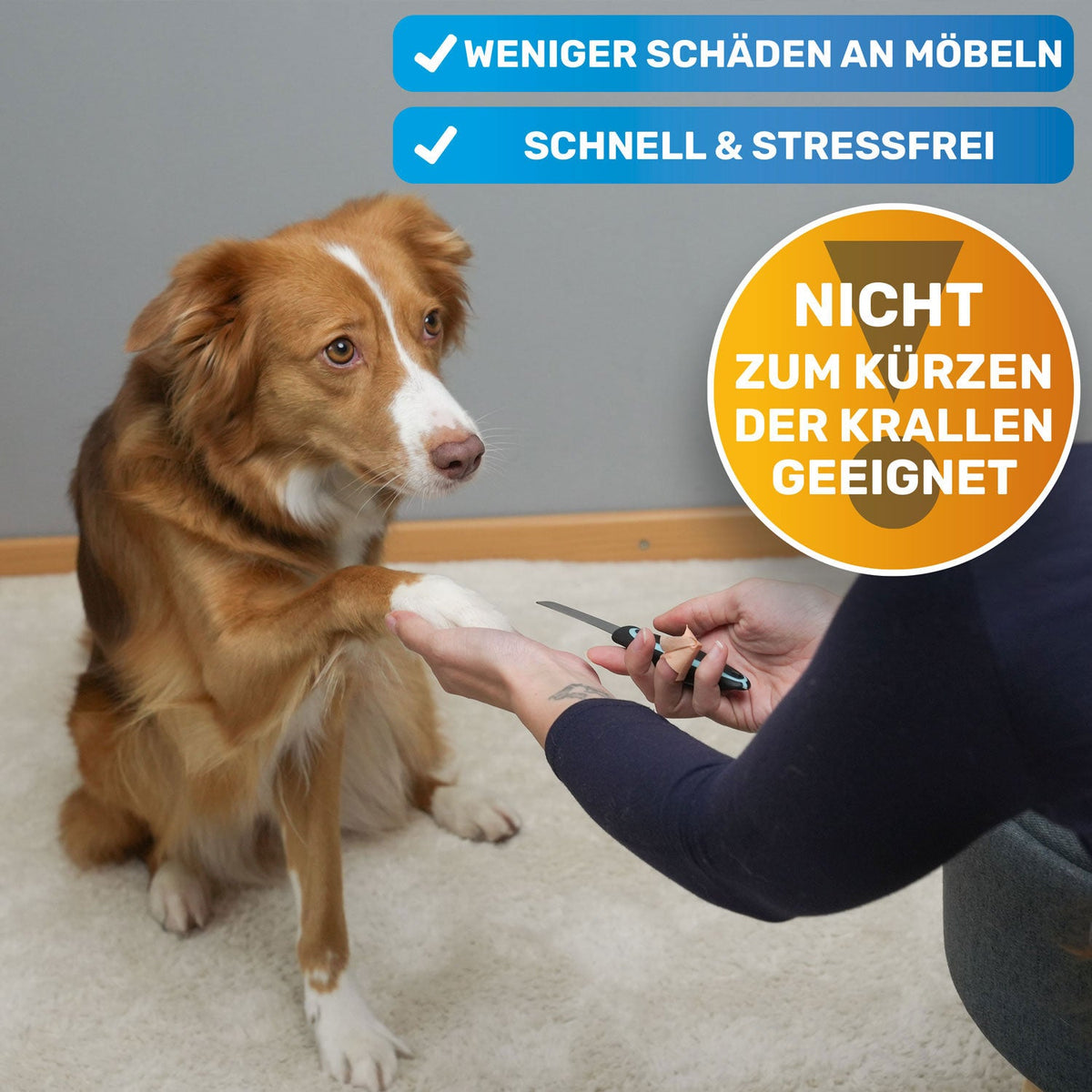 Robuste Krallenfeile für Hunde – BluePet