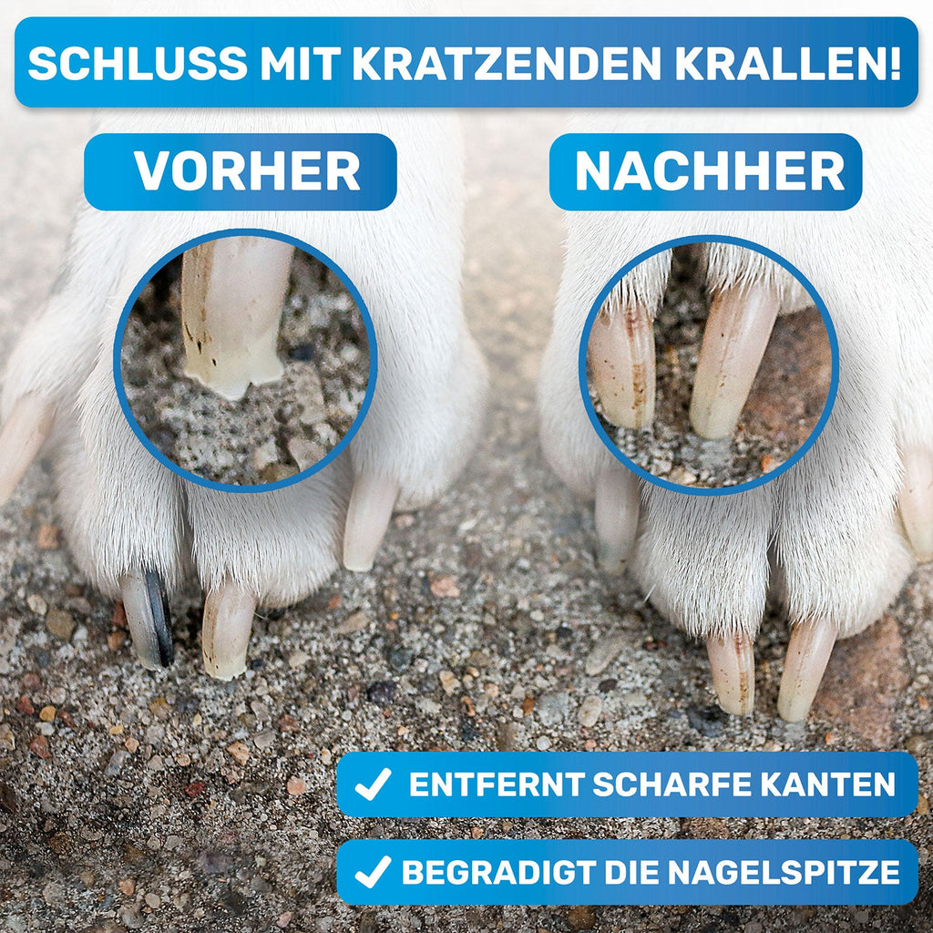 Robuste Krallenfeile für Hunde – BluePet