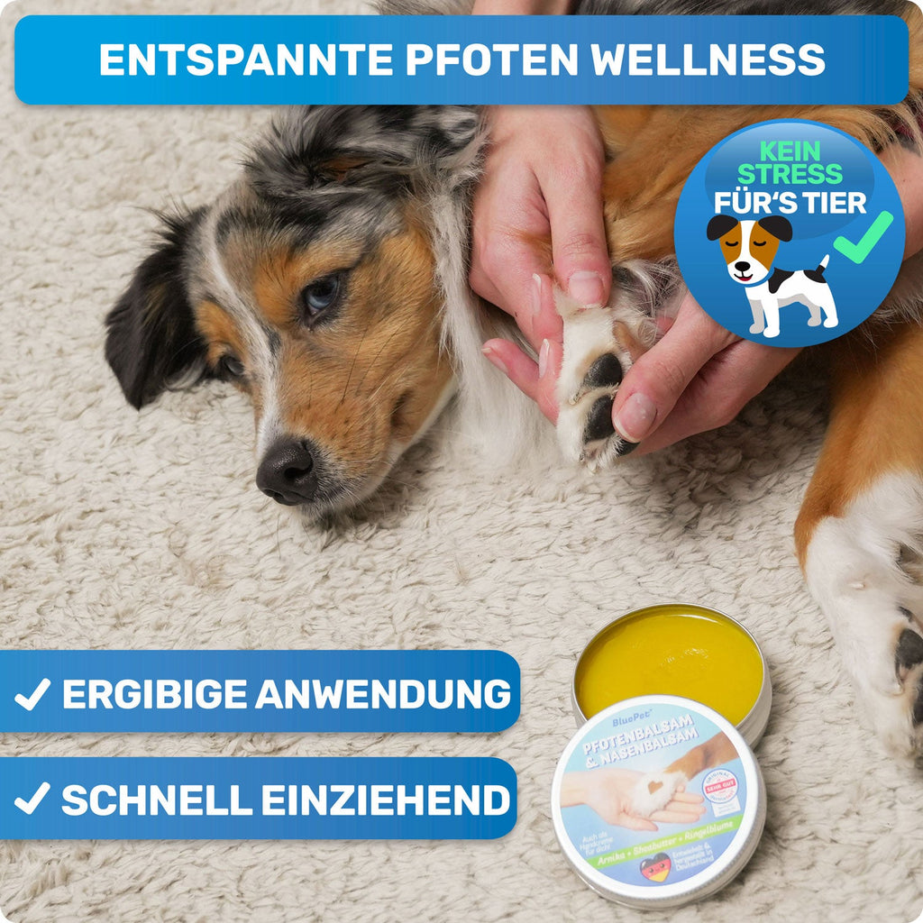 Pfotenbalsam & Nasenpflege für Hunde – auch als Handcreme