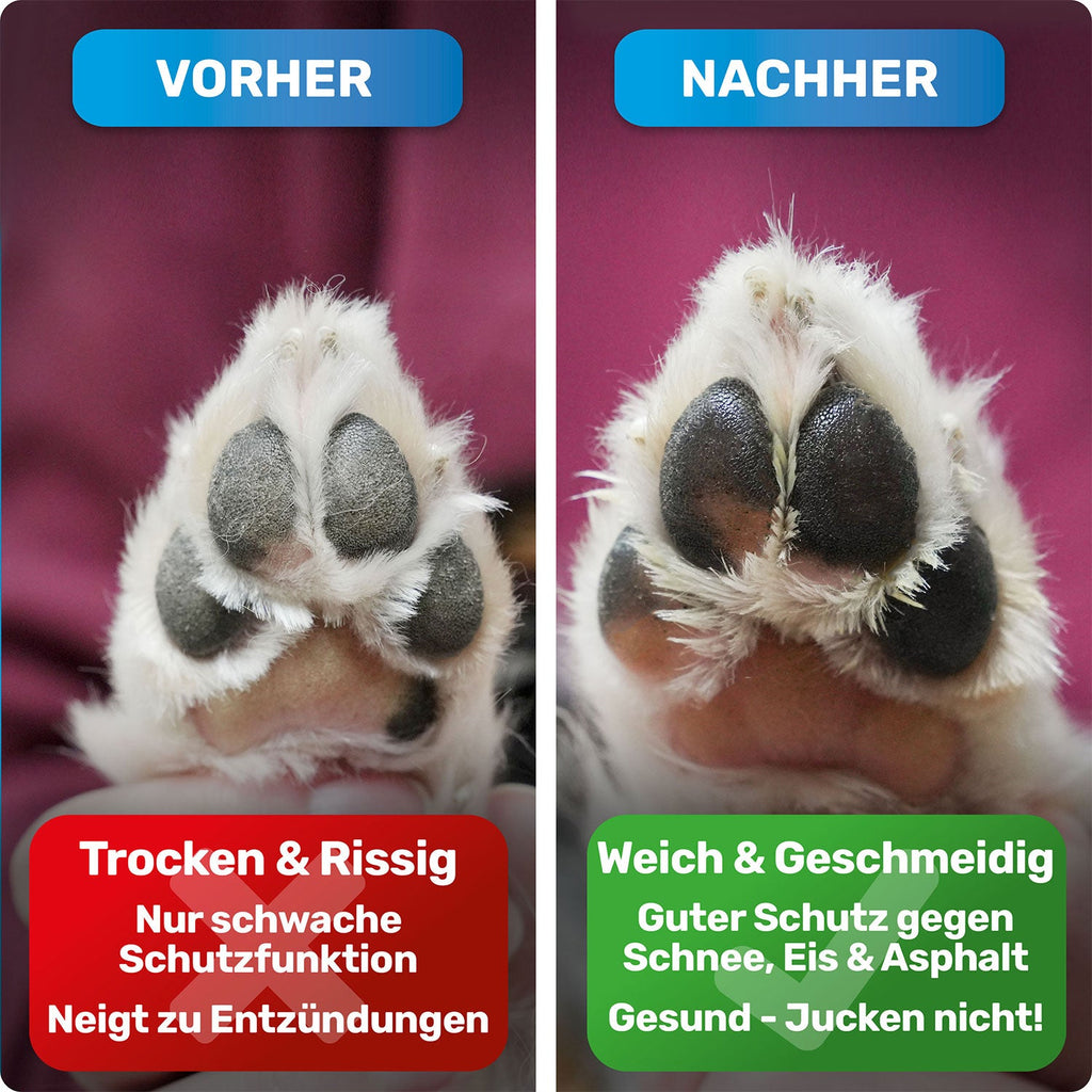Pfotenbalsam & Nasenpflege für Hunde – auch als Handcreme