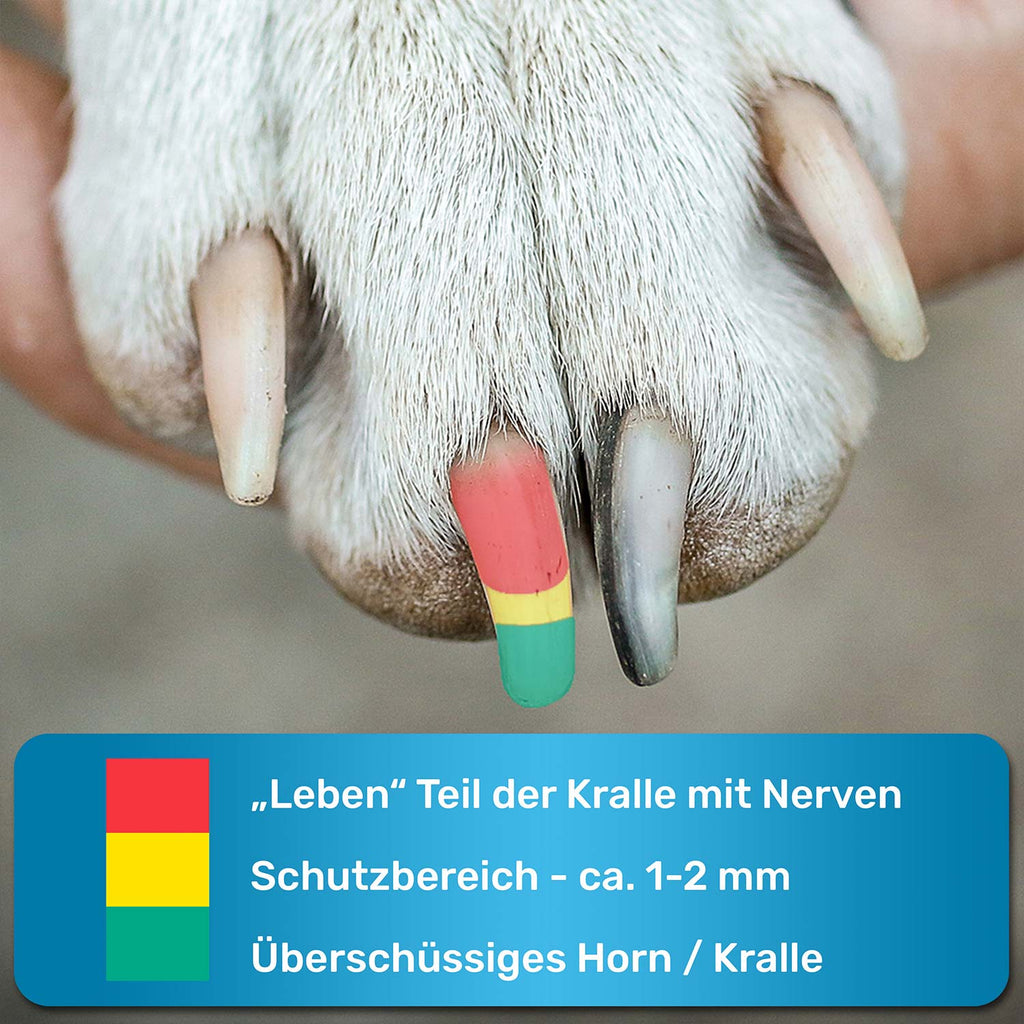 KrallenSchön – verstellbare Krallenschere für Hunde S–L