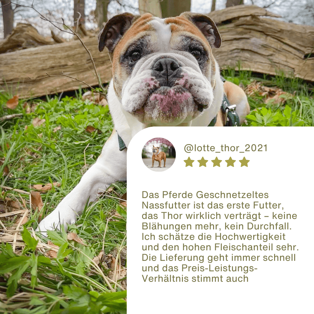 Pferde Geschnetzeltes