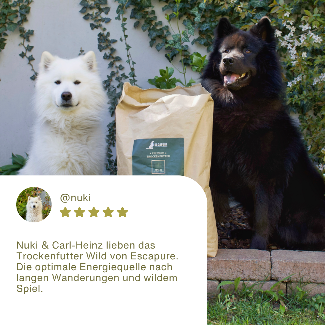Wild Premium Trockenfutter