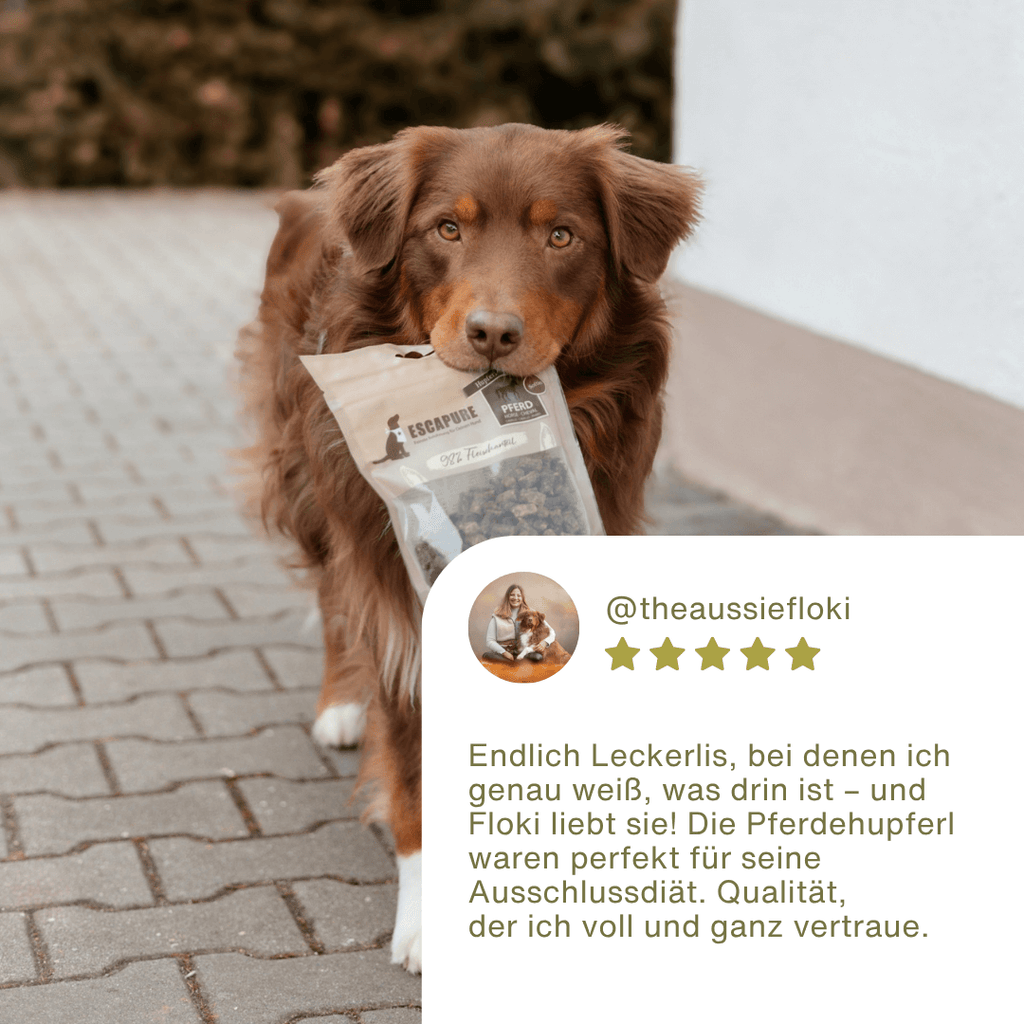 Pferde Snack Soft