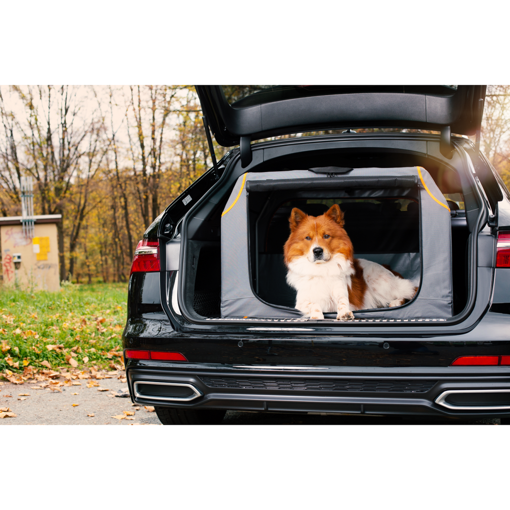 Knuffelwuff faltbare Hundebox Auto Transportbox Alverstone mit Aluminiumgestell für den Kofferraum