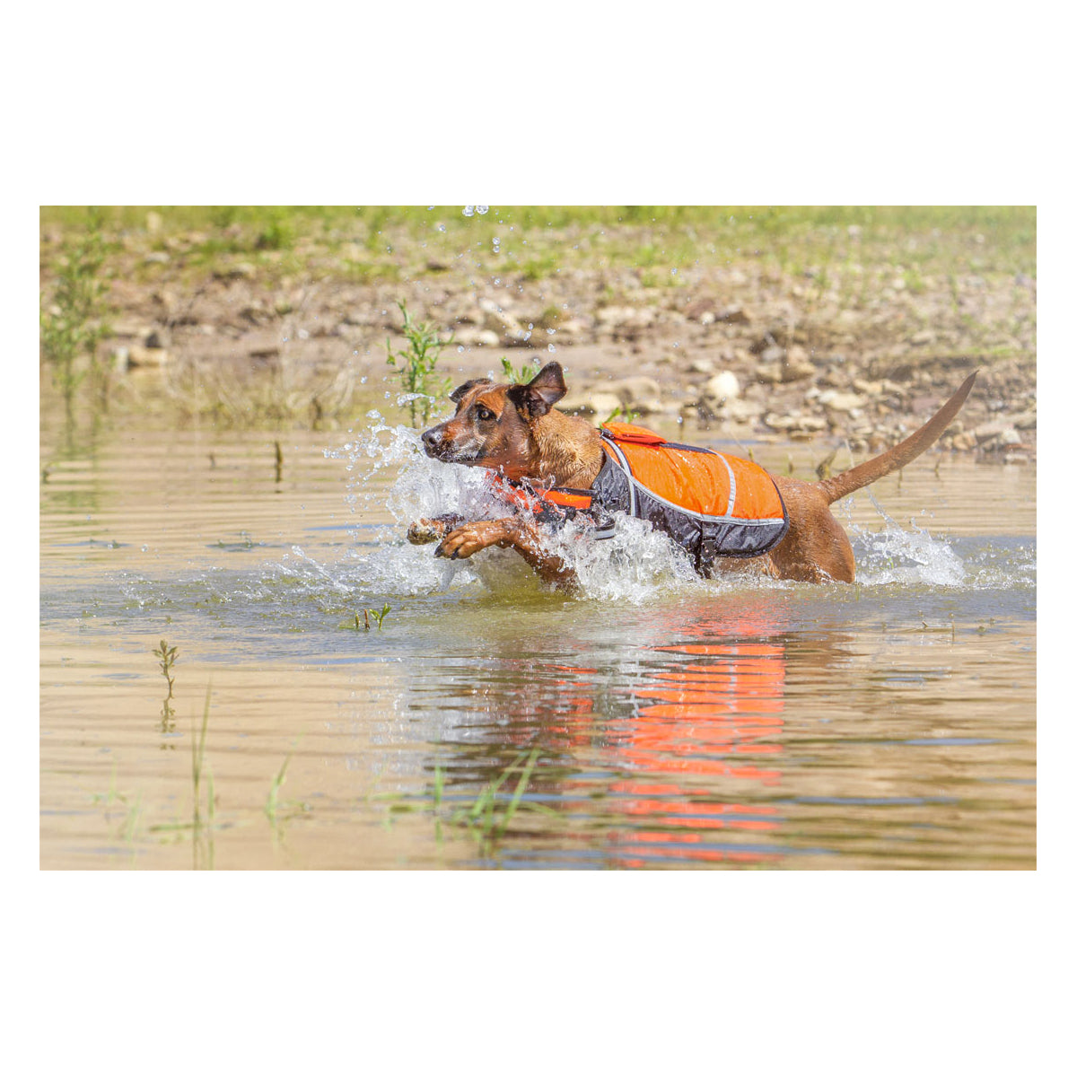 Knuffelwuff Hunde-Schwimmweste Storm mit Griff und Reflektoren