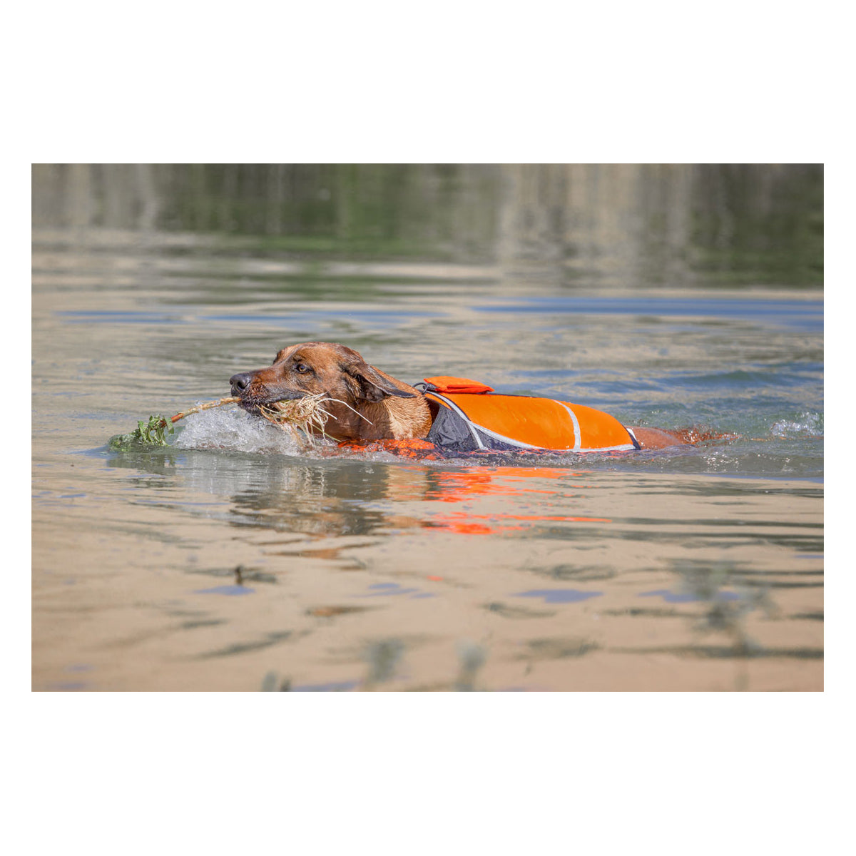 Knuffelwuff Hunde-Schwimmweste Storm mit Griff und Reflektoren