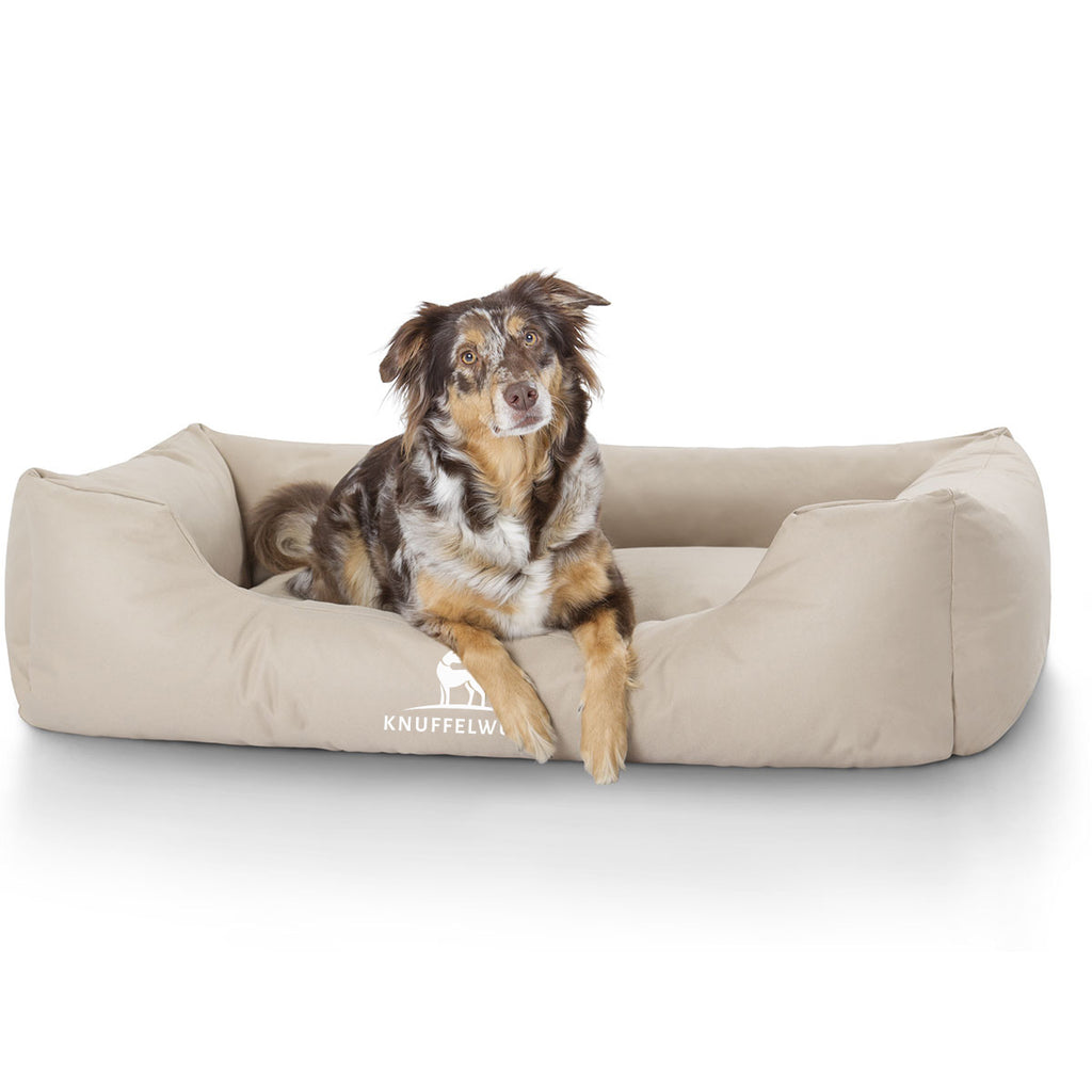 Knuffelwuff Hundebett Finlay aus Nylongewebe