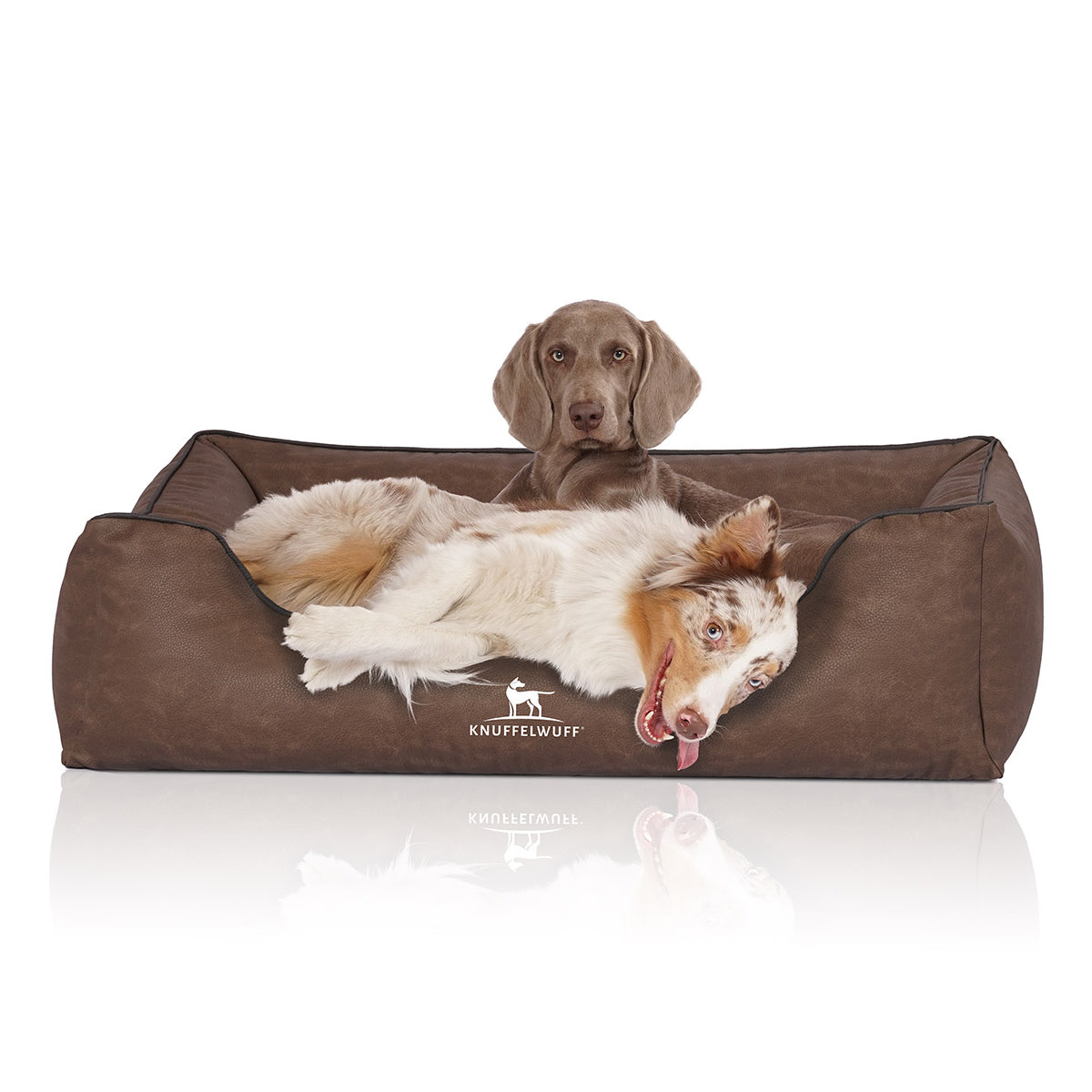 Knuffelwuff Hundebett Scottsdale aus Kunstleder