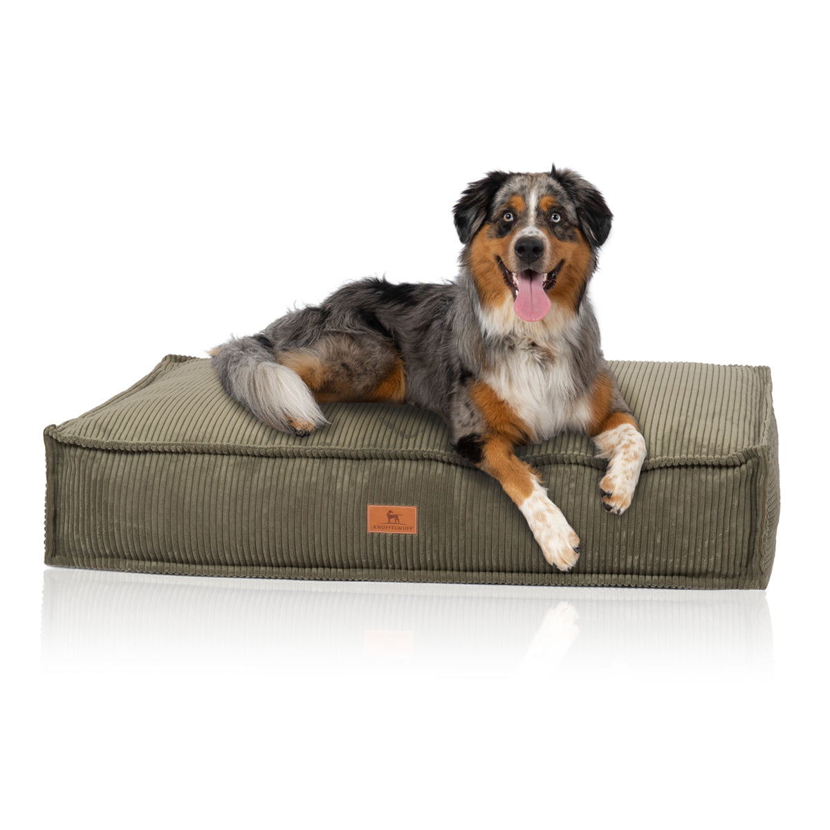 Knuffelwuff Hundekissen Lesedi aus Cord mit Handwebcharakter