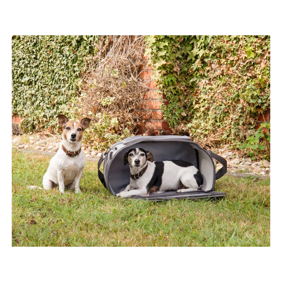 Knuffelwuff Hundetransporttasche Sheffield