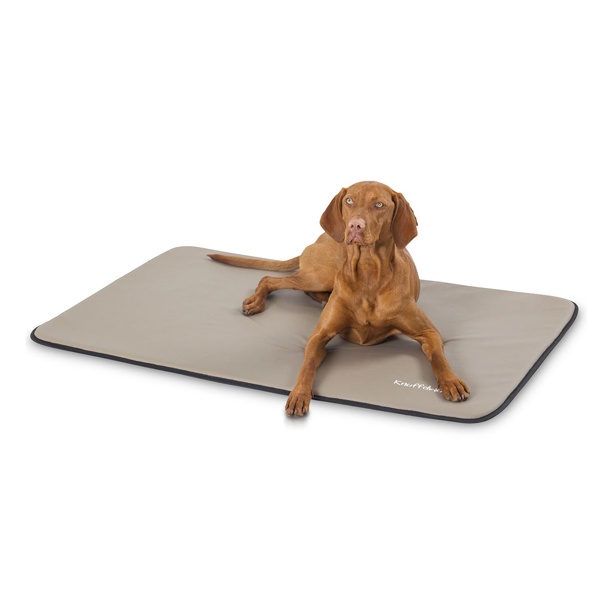 Knuffelwuff Kunstleder Hundematte Cheyenne