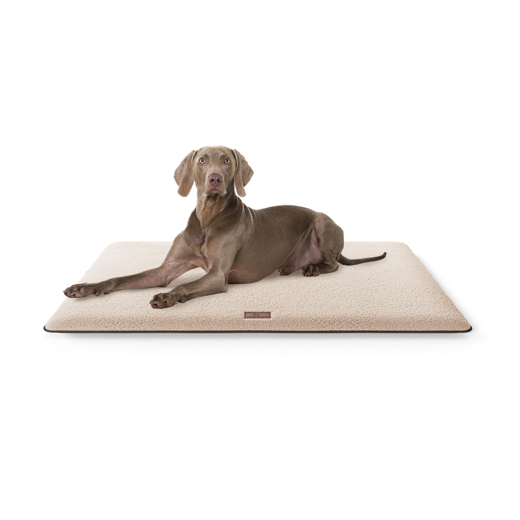 Knuffelwuff kuschelige Hundematte Calliope aus Teddy Material