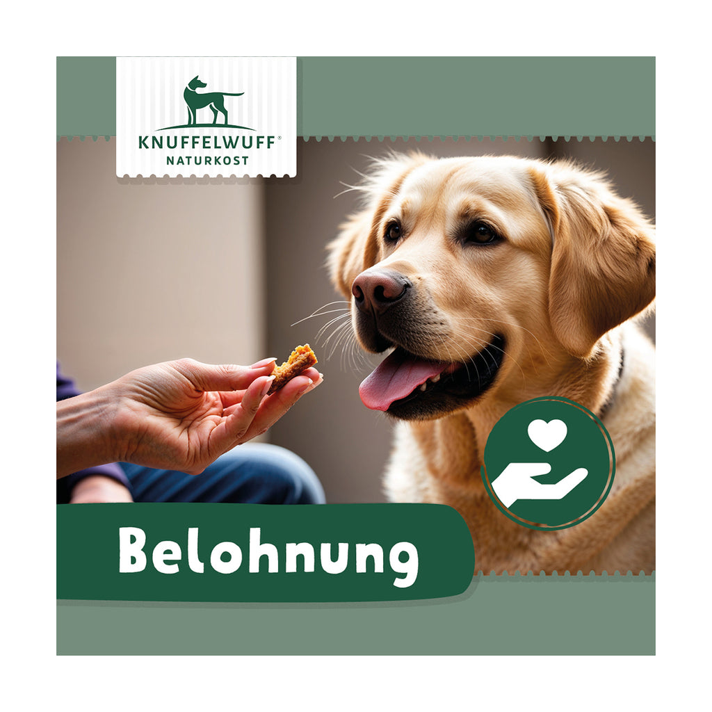 Knuffelwuff Mini Denties mit Hühnerfilet - Premium Hundesnack mitHähnchenfleisch und Kalzium, 500g