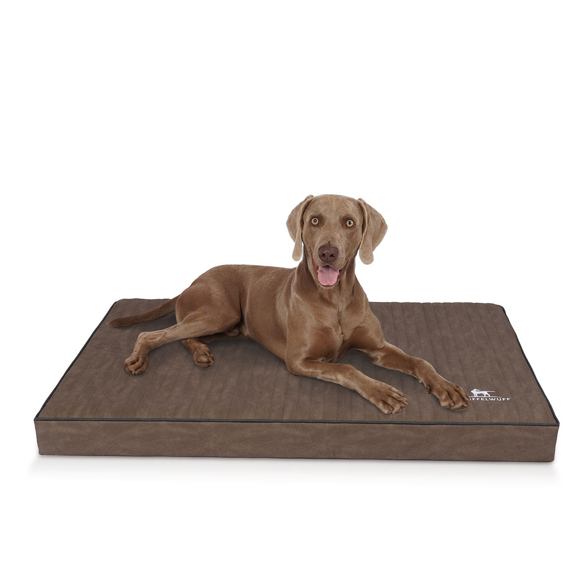 Knuffelwuff orthopädische Hundematte Palomino aus laser-gestepptem Kunstleder