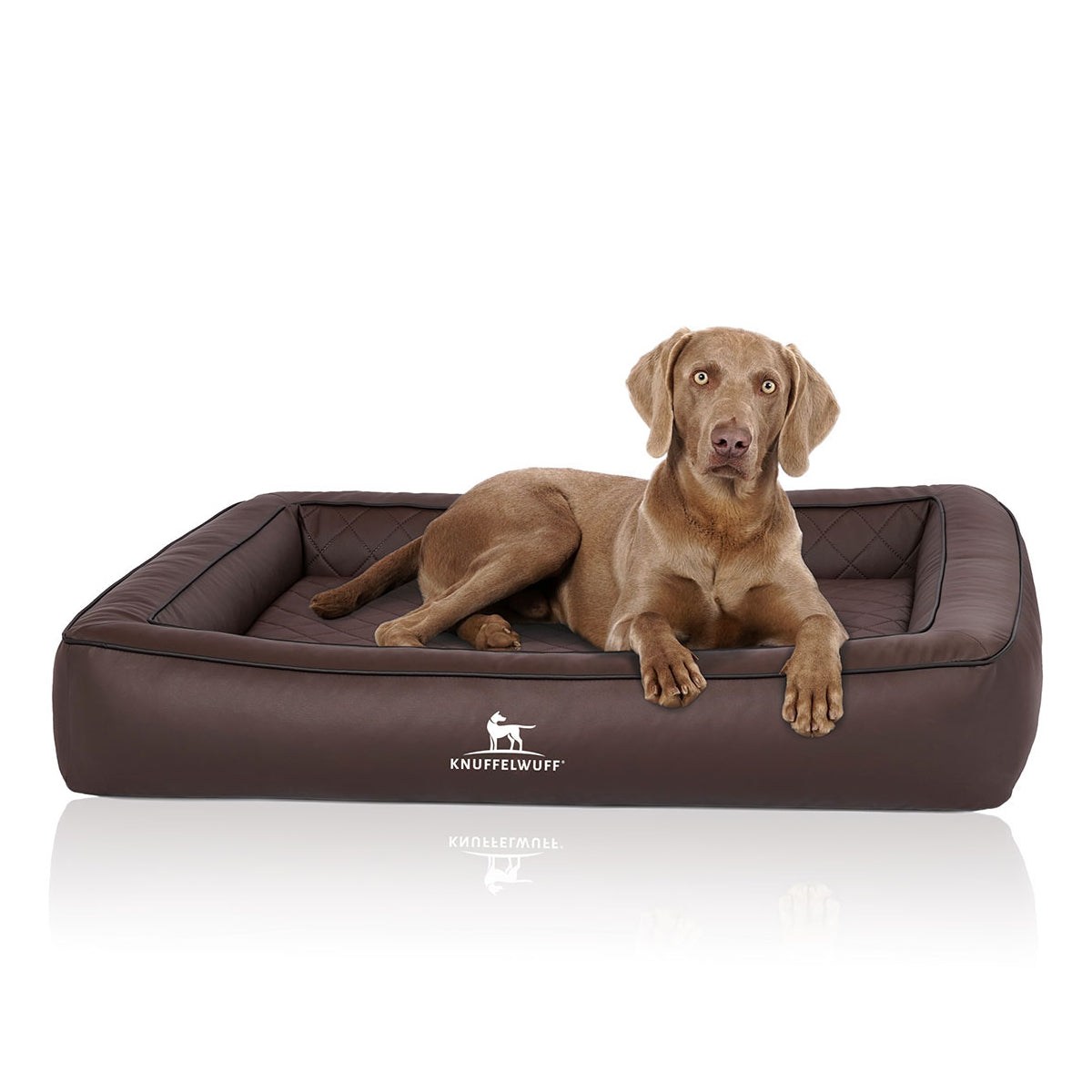 Knuffelwuff Orthopädisches Hundebett aus Laser gestepptem Kunstleder Hampstead