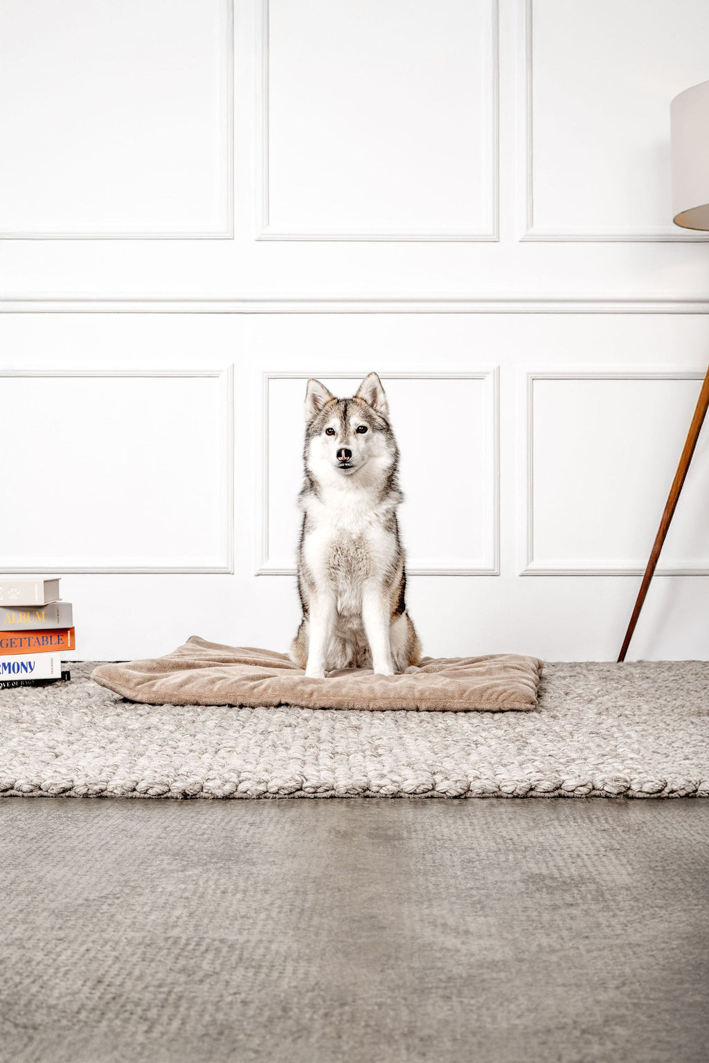 Hundedecke Emma Beige