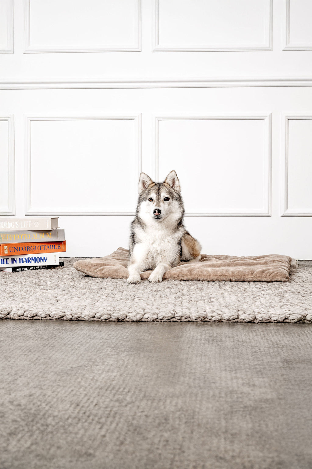 Hundedecke Emma Beige