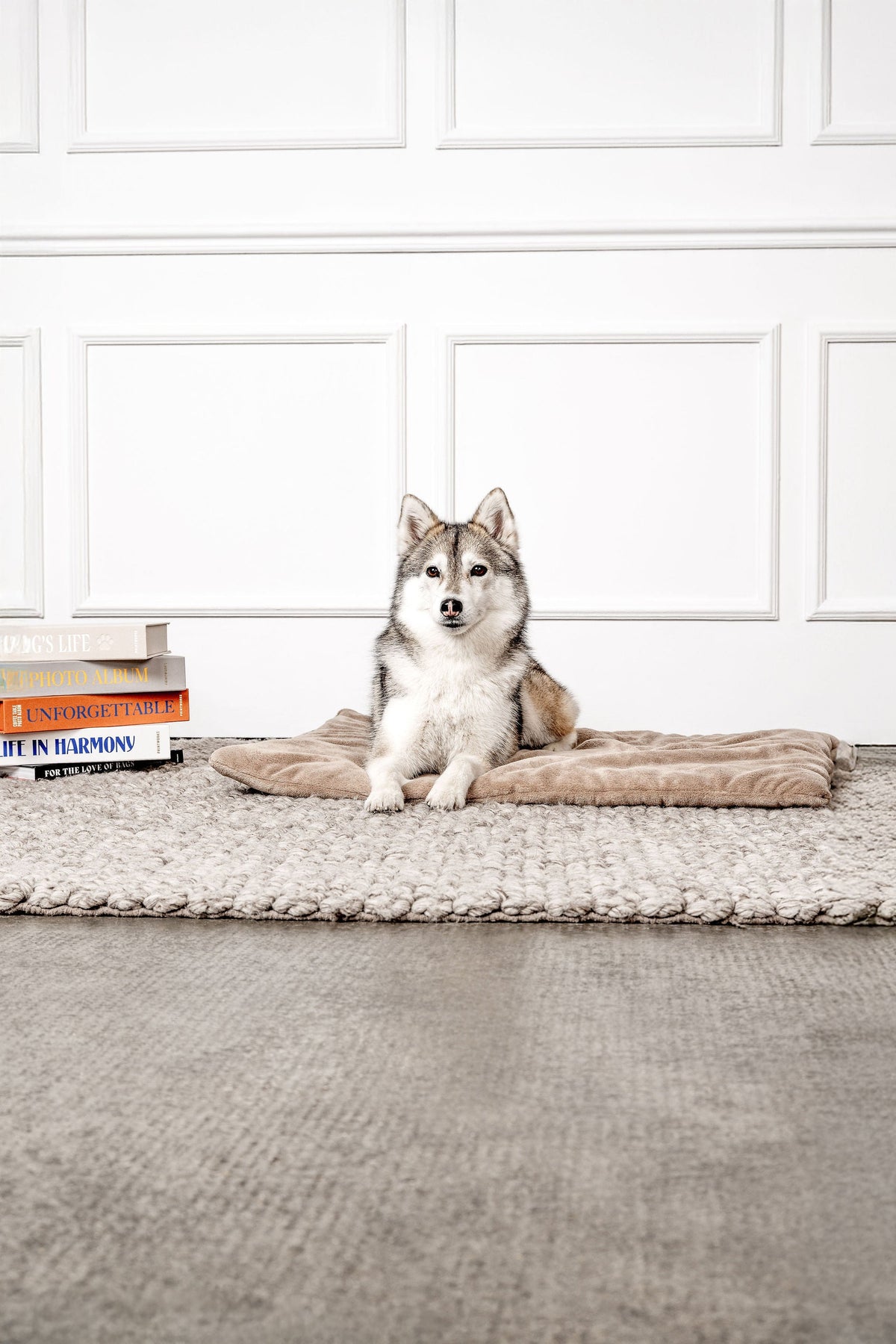 Hundedecke Emma Beige
