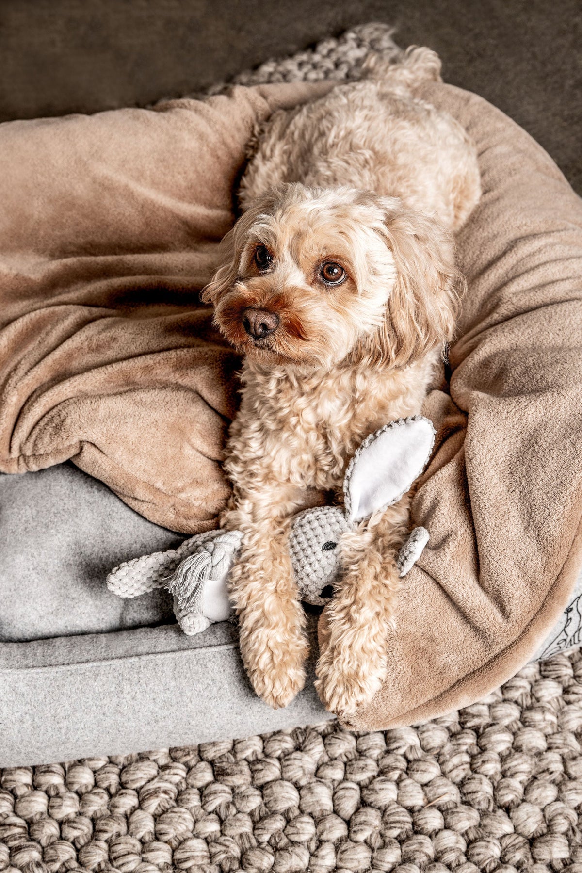 Hundedecke Emma Beige