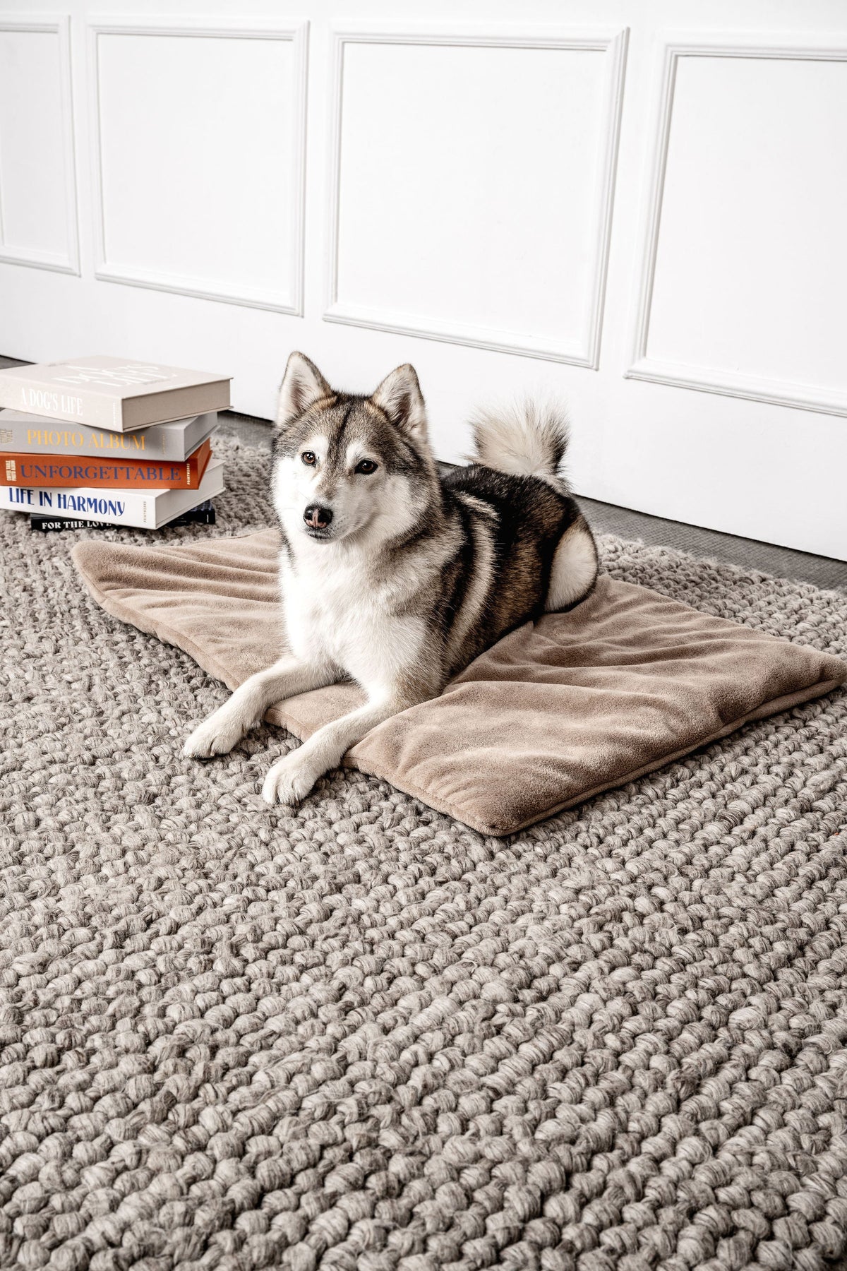 Hundedecke Emma Beige