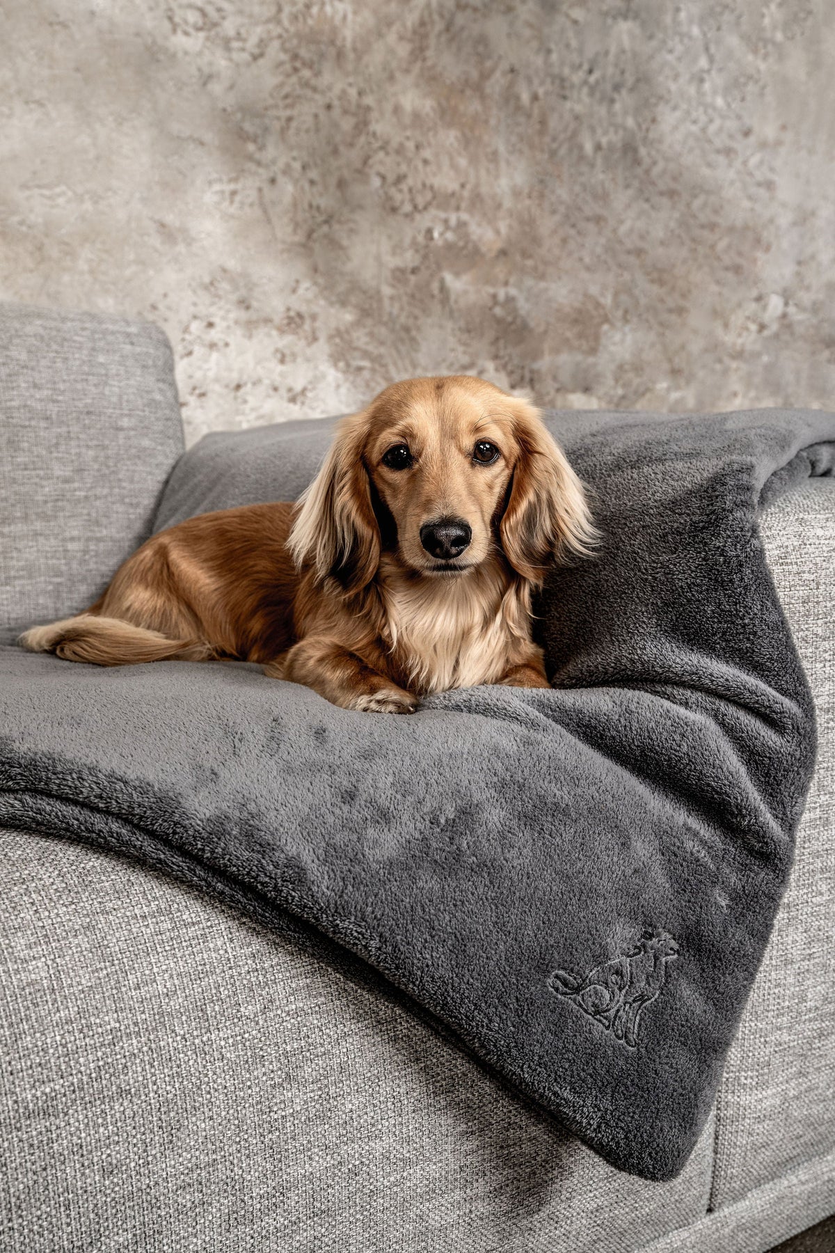 Hundedecke Emma Dunkelgrau