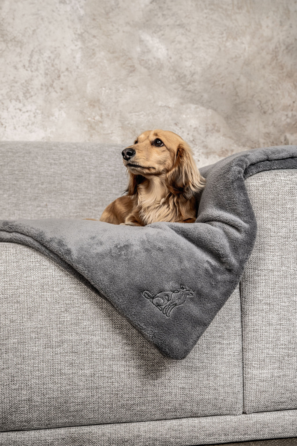 Hundedecke Emma Dunkelgrau
