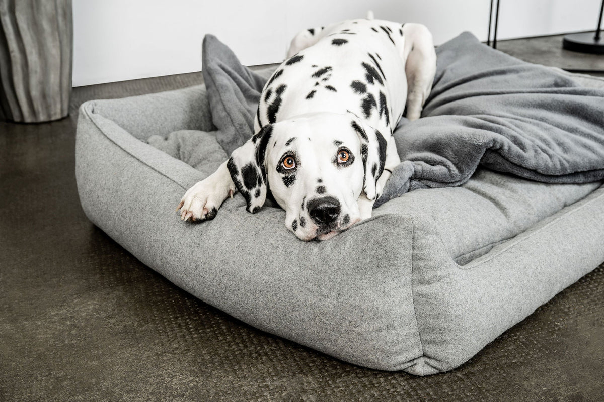 Hundedecke Emma Dunkelgrau