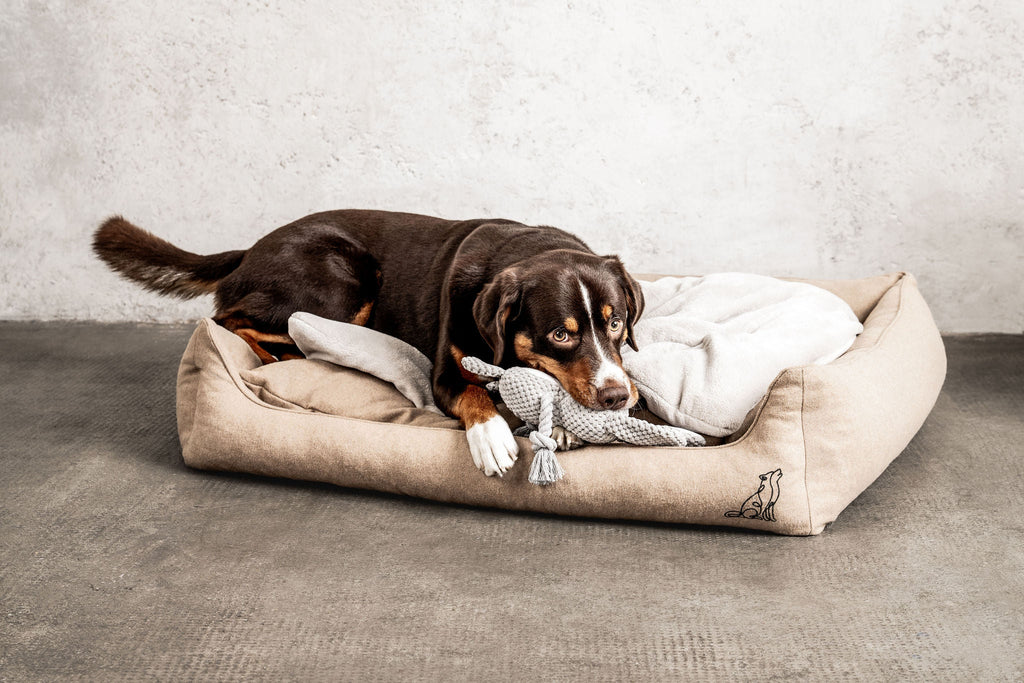 Hundedecke Emma Natur
