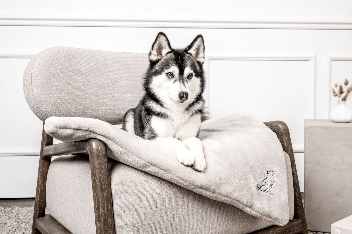Hundedecke Emma Natur