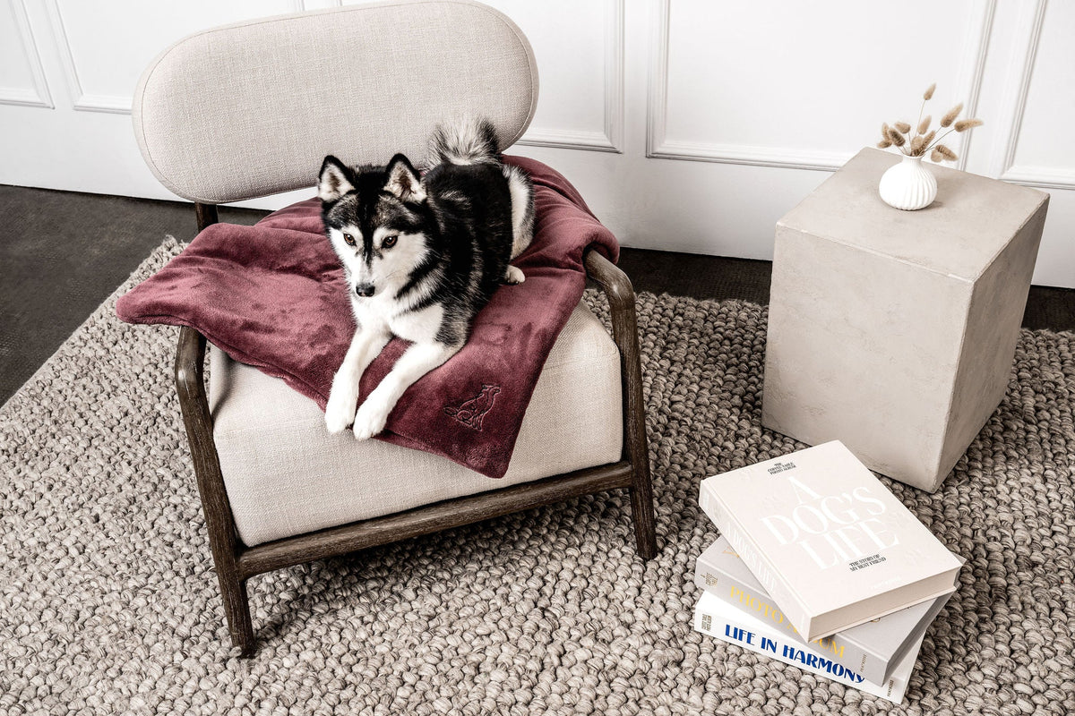 Hundedecke Emma Weinrot