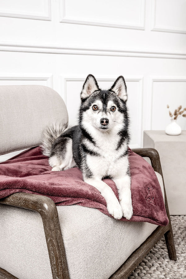 Hundedecke Emma Weinrot