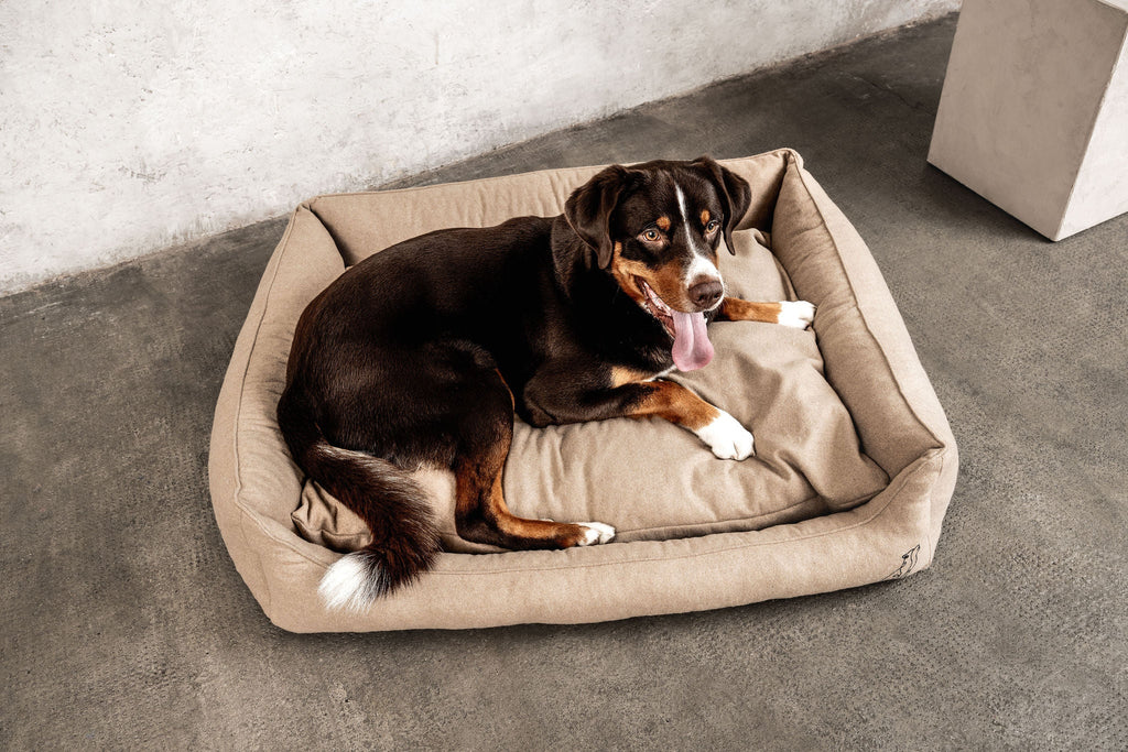 Hundebett Belle Beige