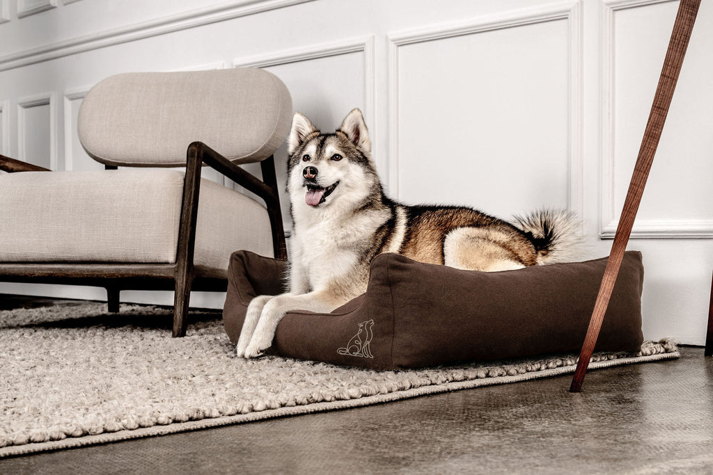 Hundebett Belle Dunkelbraun